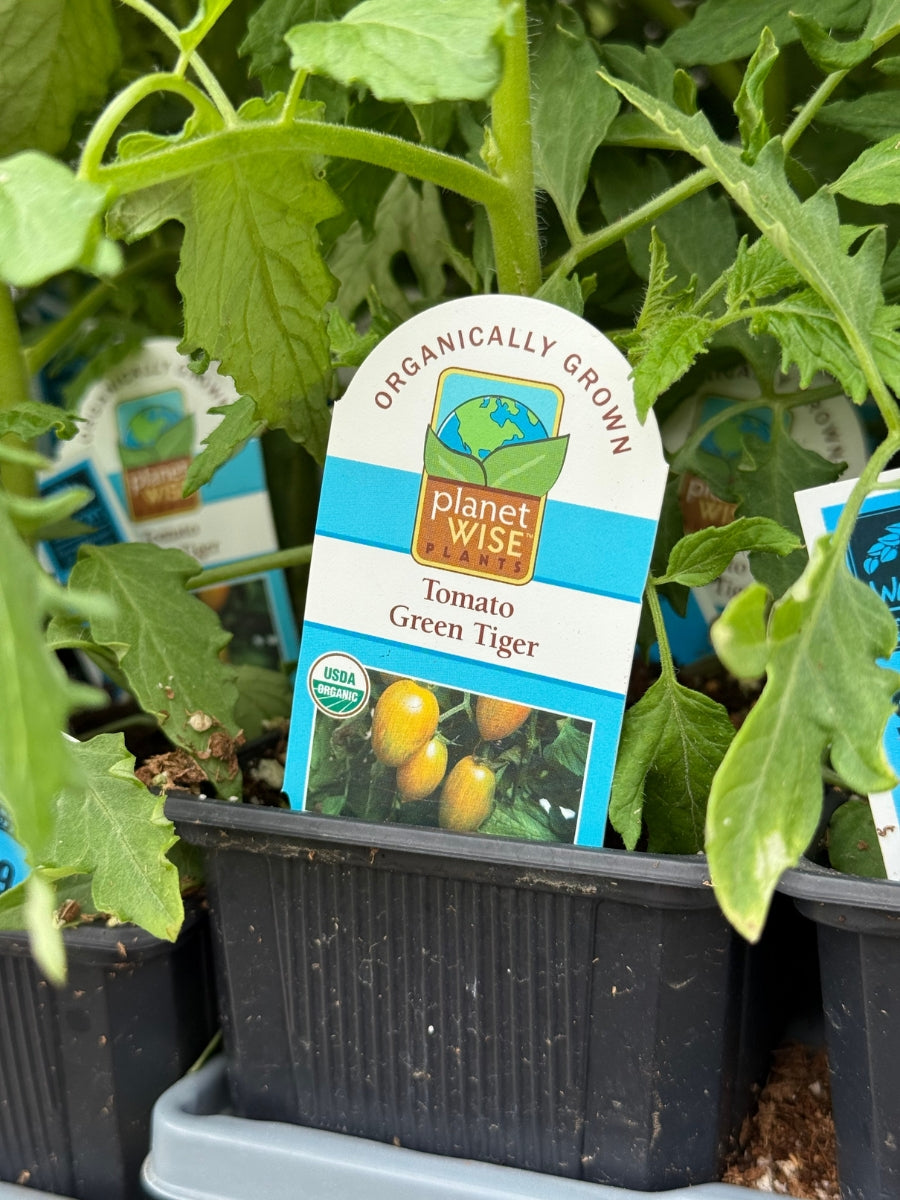 Watson's Greenhouse 