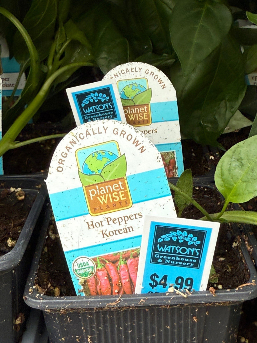 Watson's Greenhouse 