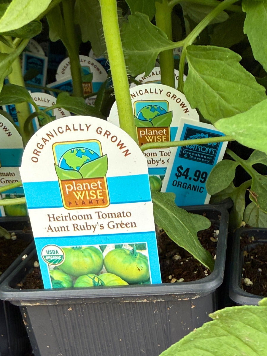 Watson's Greenhouse 