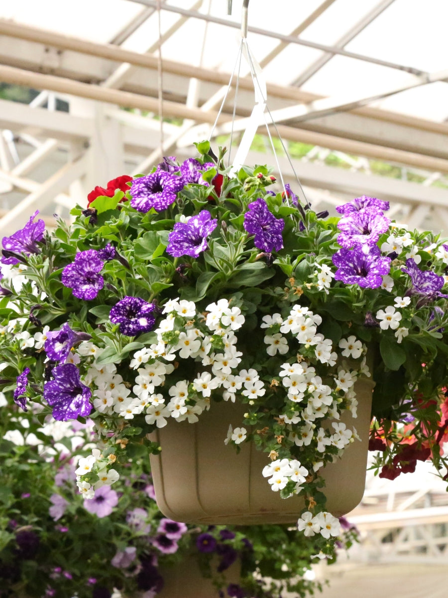 Watson's Greenhouse 