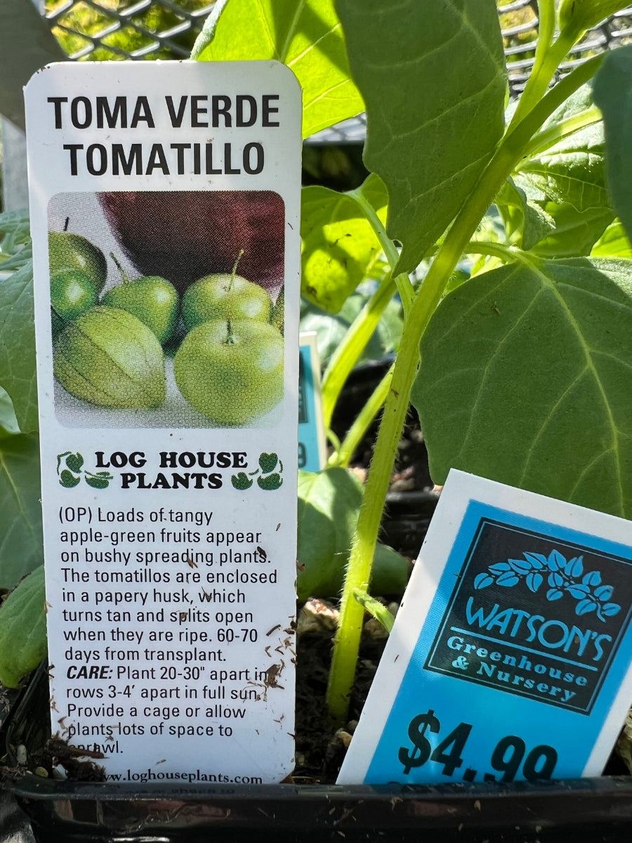 Watson's Greenhouse 