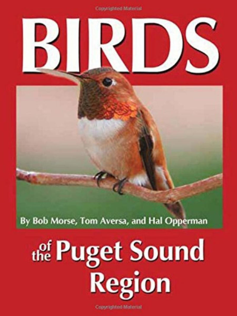 Birds of Puget Sound