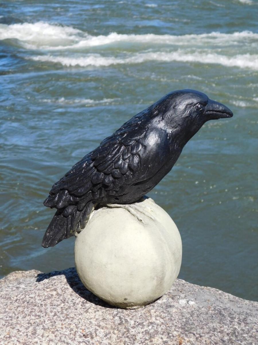 Blackbird on Sphere