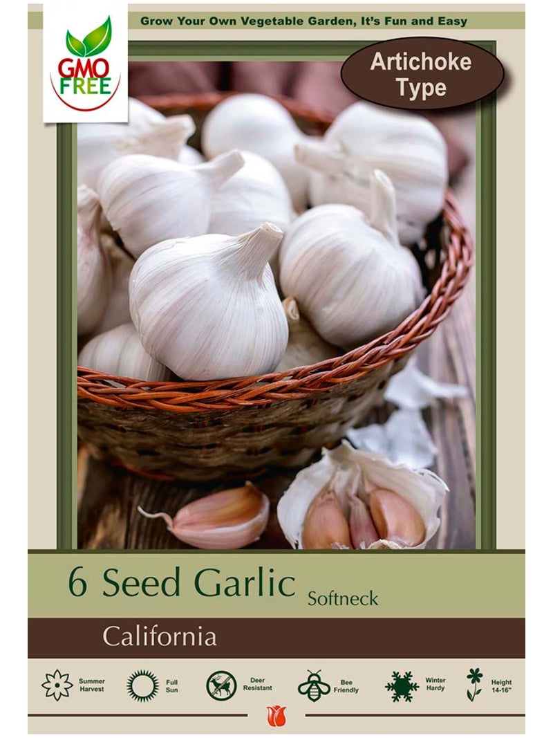 Seed Garlic 'California White' - Edible Bulb Pack