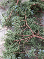 Juniper Bunch