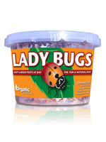 Orcon Ladybugs