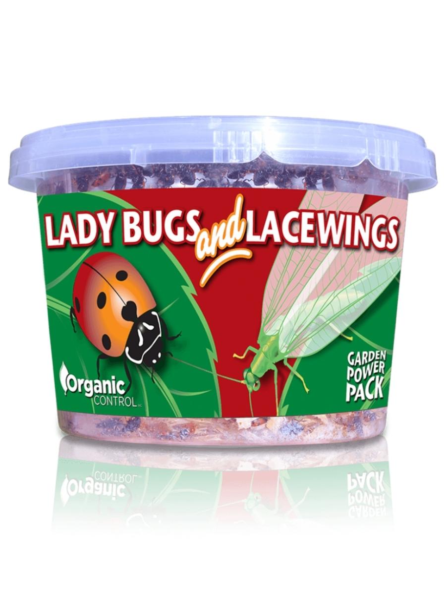 Orcon Ladybugs and Lacewings