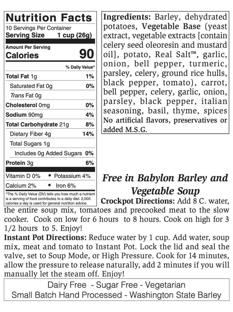 Free in Babylon Barley and Vegetable Soup
