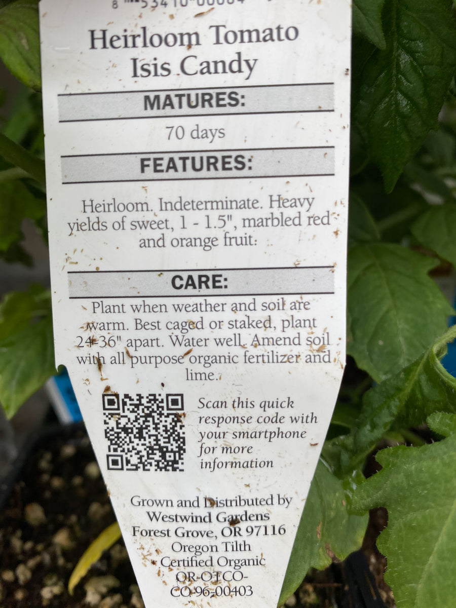 Watson's Greenhouse 