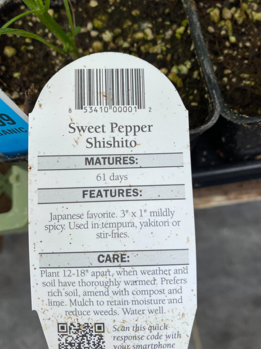Watson's Greenhouse 
