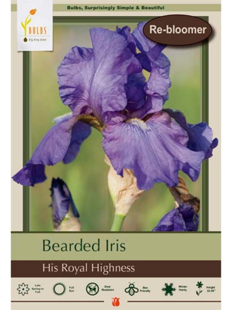 Bearded Iris 'His Royal Highness' - Bulb