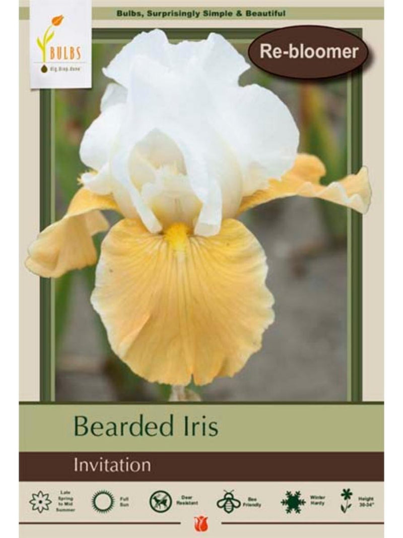 Bearded Iris 'Invitation' - Bulb