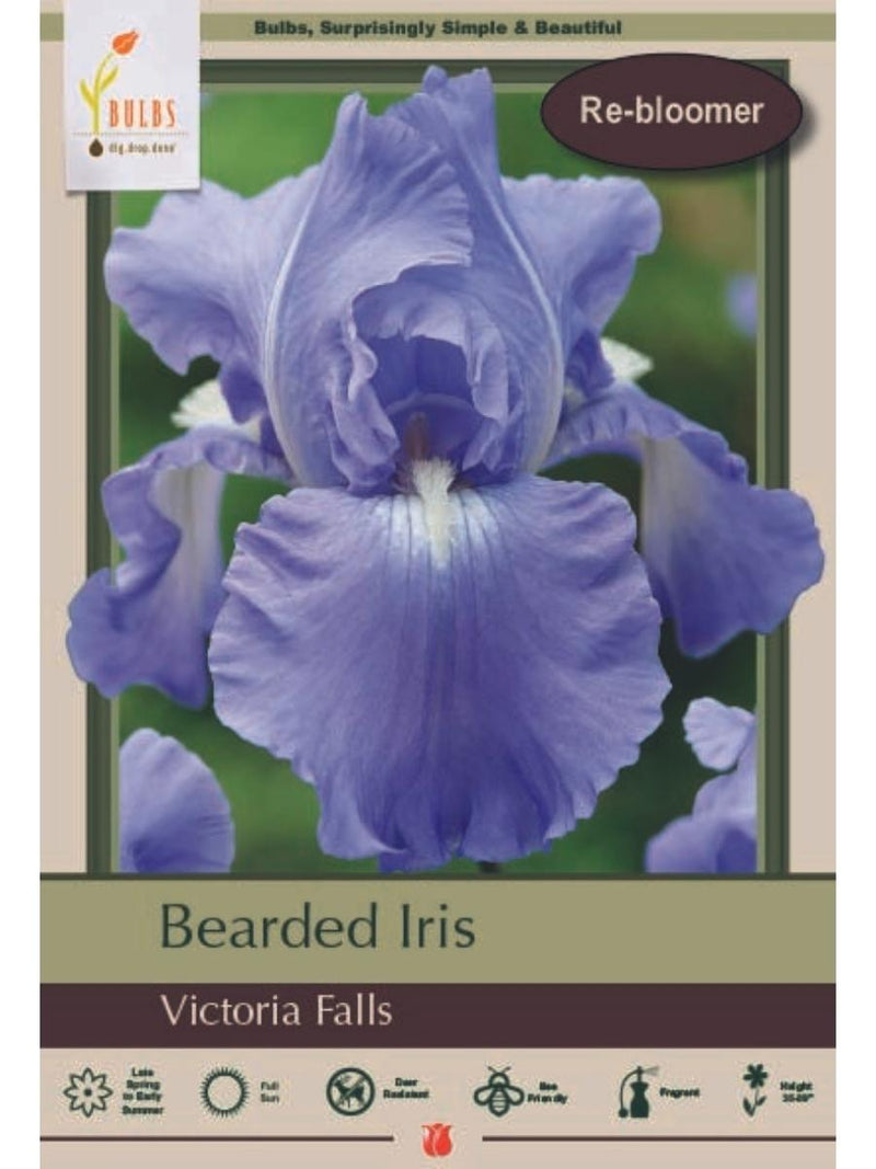 Bearded Iris 'Victoria Falls' - Bulb