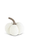 Knit Pumpkin White