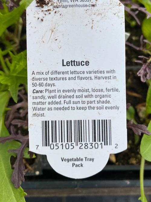 Organic Jumbo Pack | Lettuce Gourmet Mix
