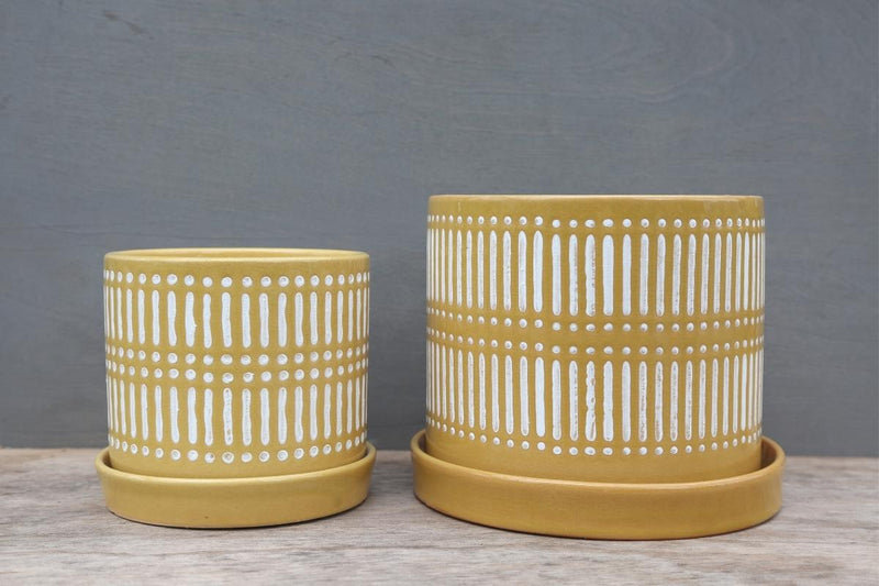 Yellow Linear Pot with Saucer