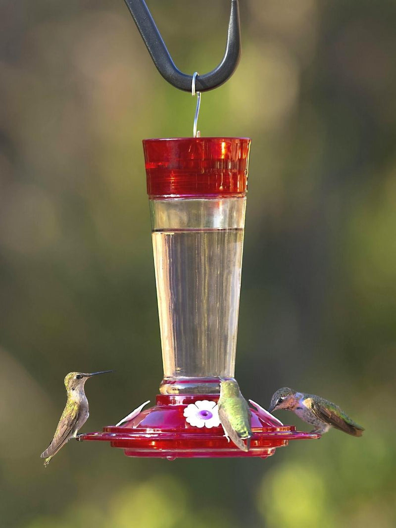 More Birds® Ruby Hummingbird Feeder 10oz.