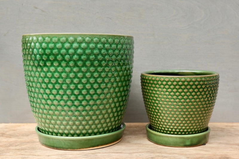 Green Hobnail Pot with Saucer