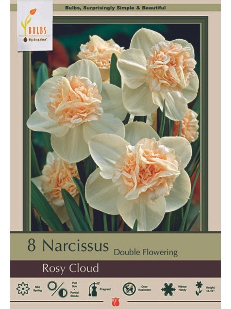 Narcissus 'Rosy Cloud' - Bulb Pack
