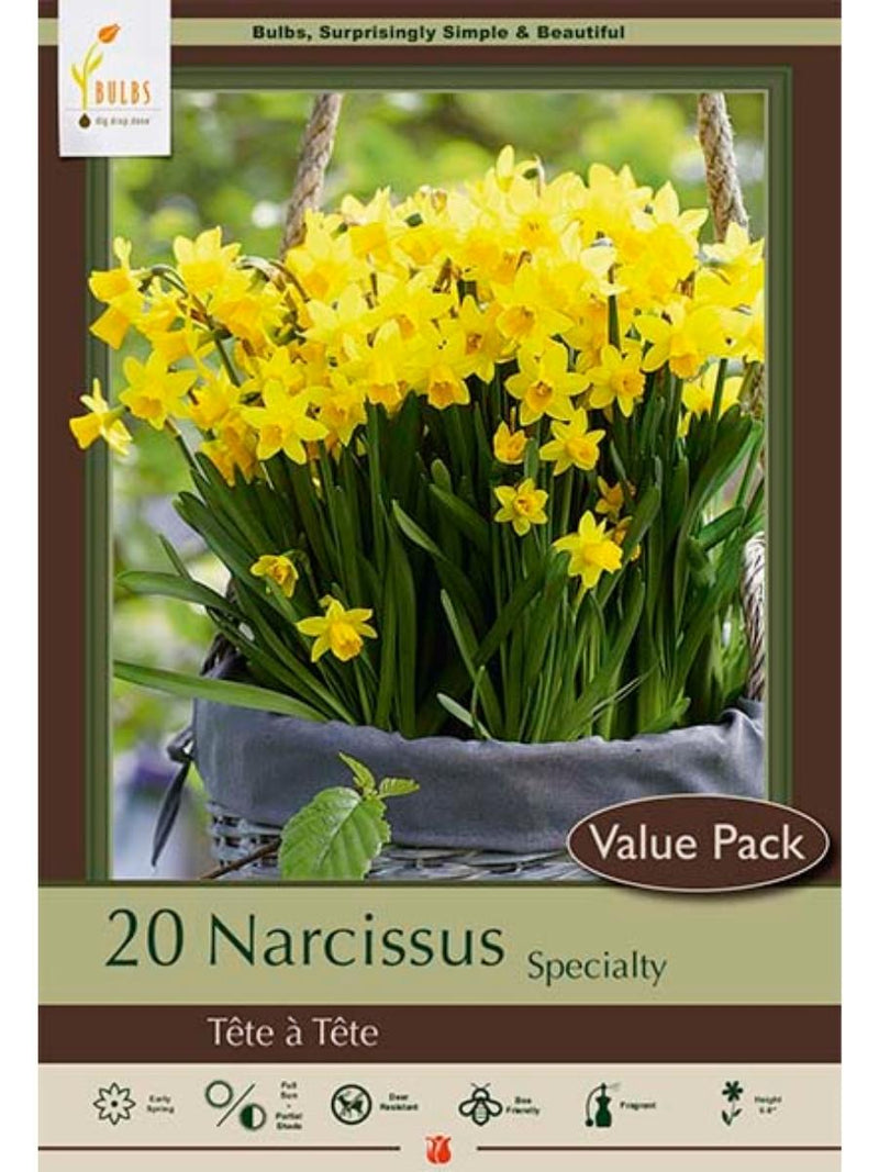 Narcissus 'Tete A Tete' - Value Bulb Pack