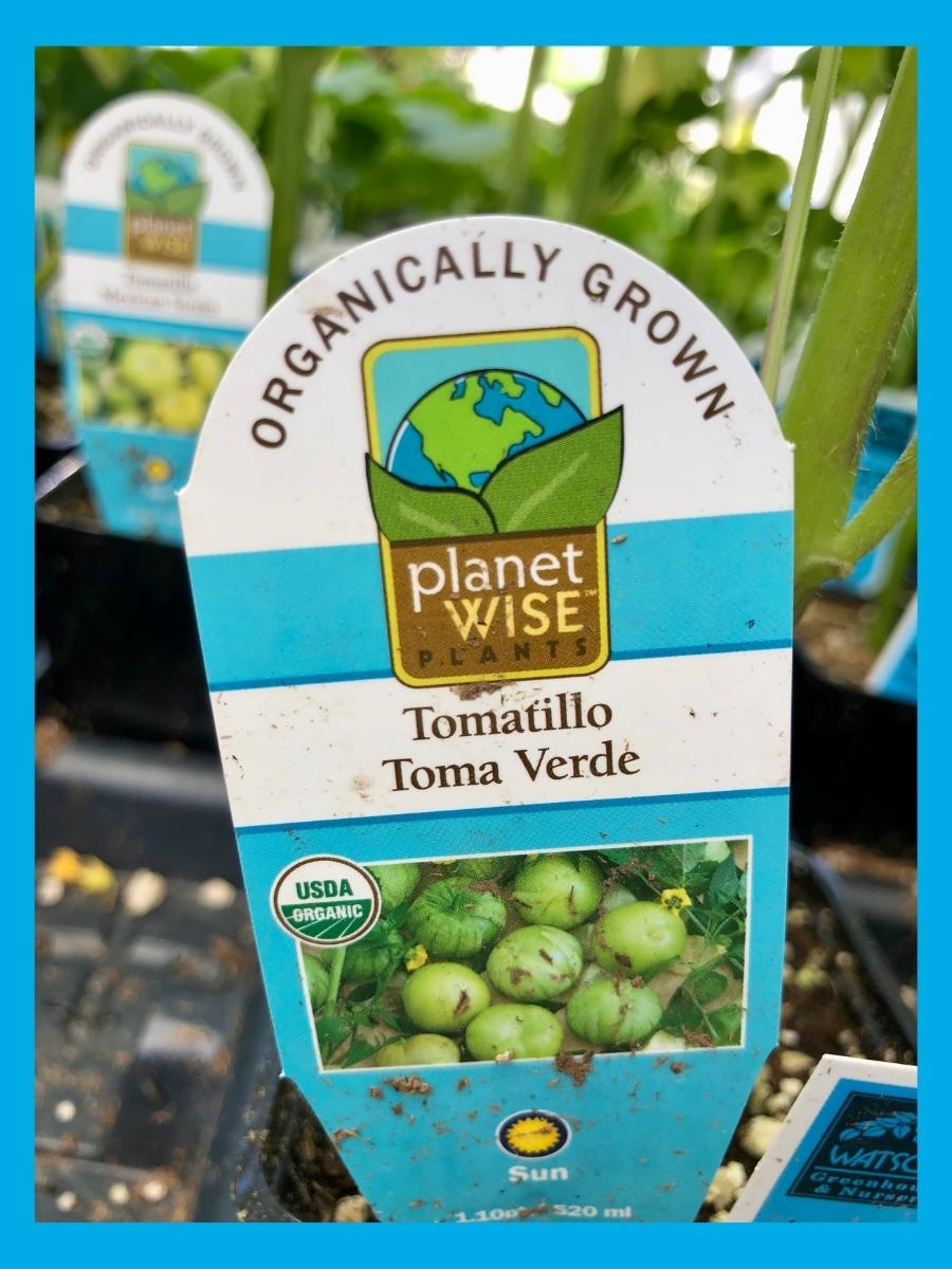 Watson's Greenhouse 
