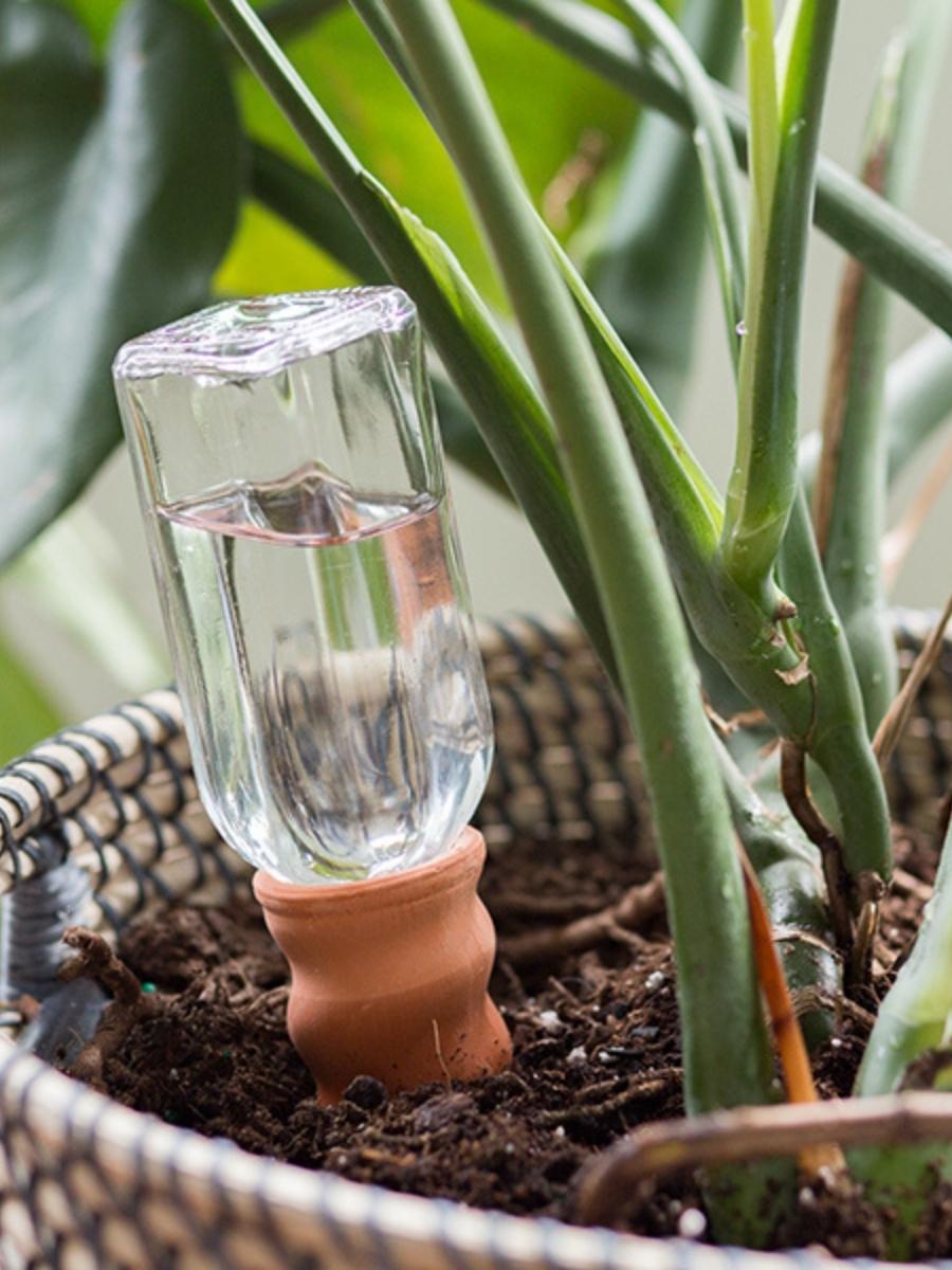 Watson's Greenhouse 