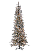 Snowcrest Pencil Pine Tree