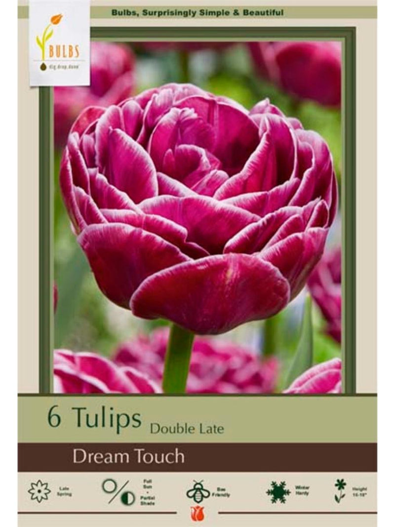 Tulip 'Dream Touch' - Bulbs Pack