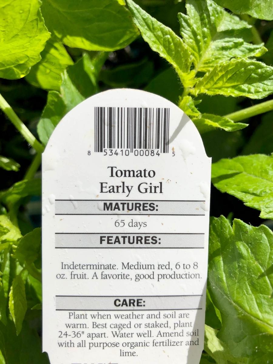 Watson's Greenhouse 