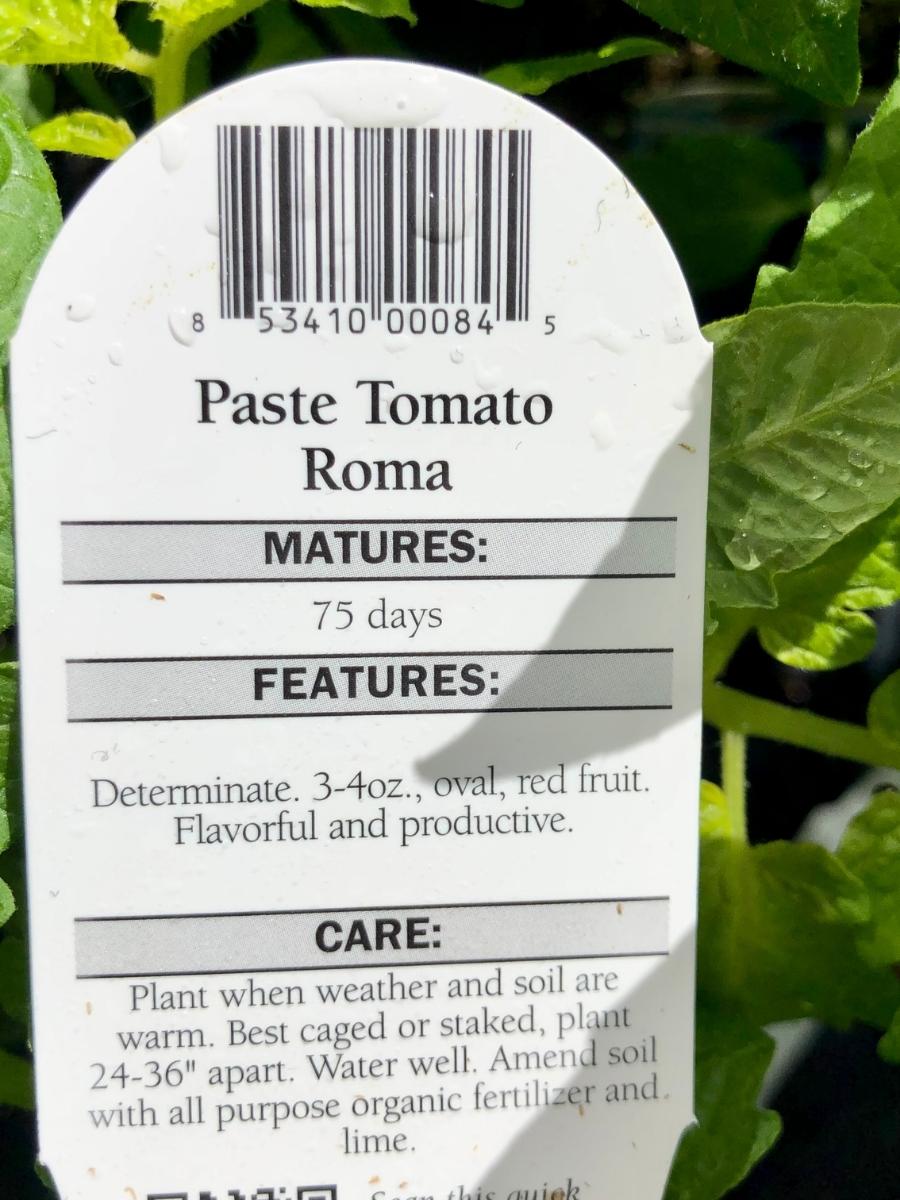 Watson's Greenhouse 