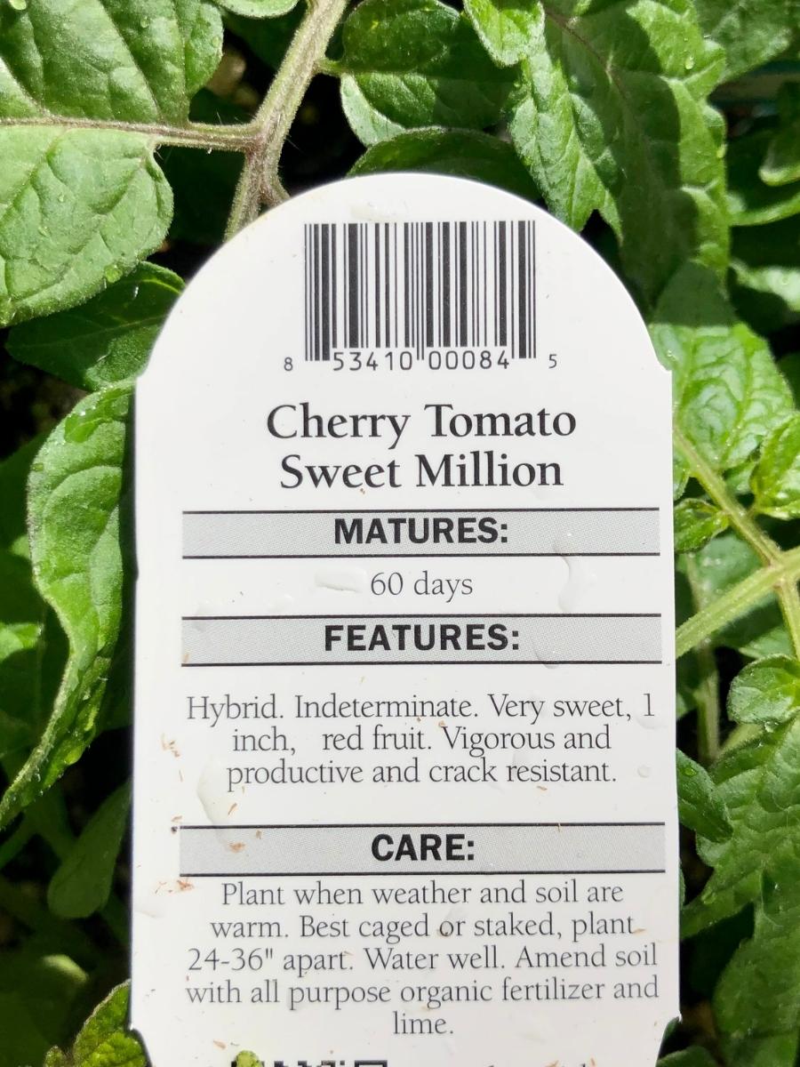 Watson's Greenhouse 