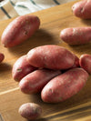 Seed Potato | French Fingerling