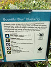 Blueberry Bountiful Blue® 2G