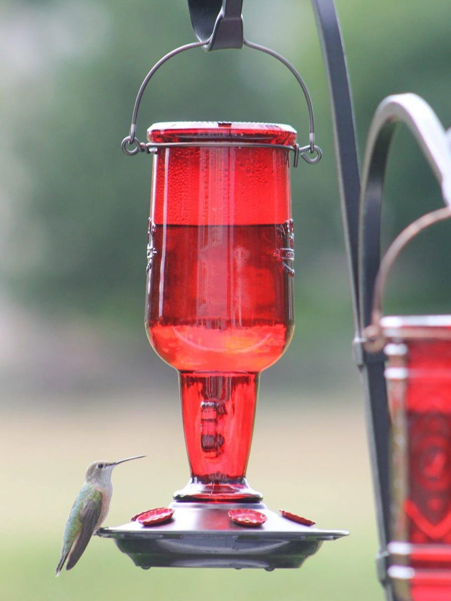 More Birds® Jug Hummingbird Feeder 23oz.