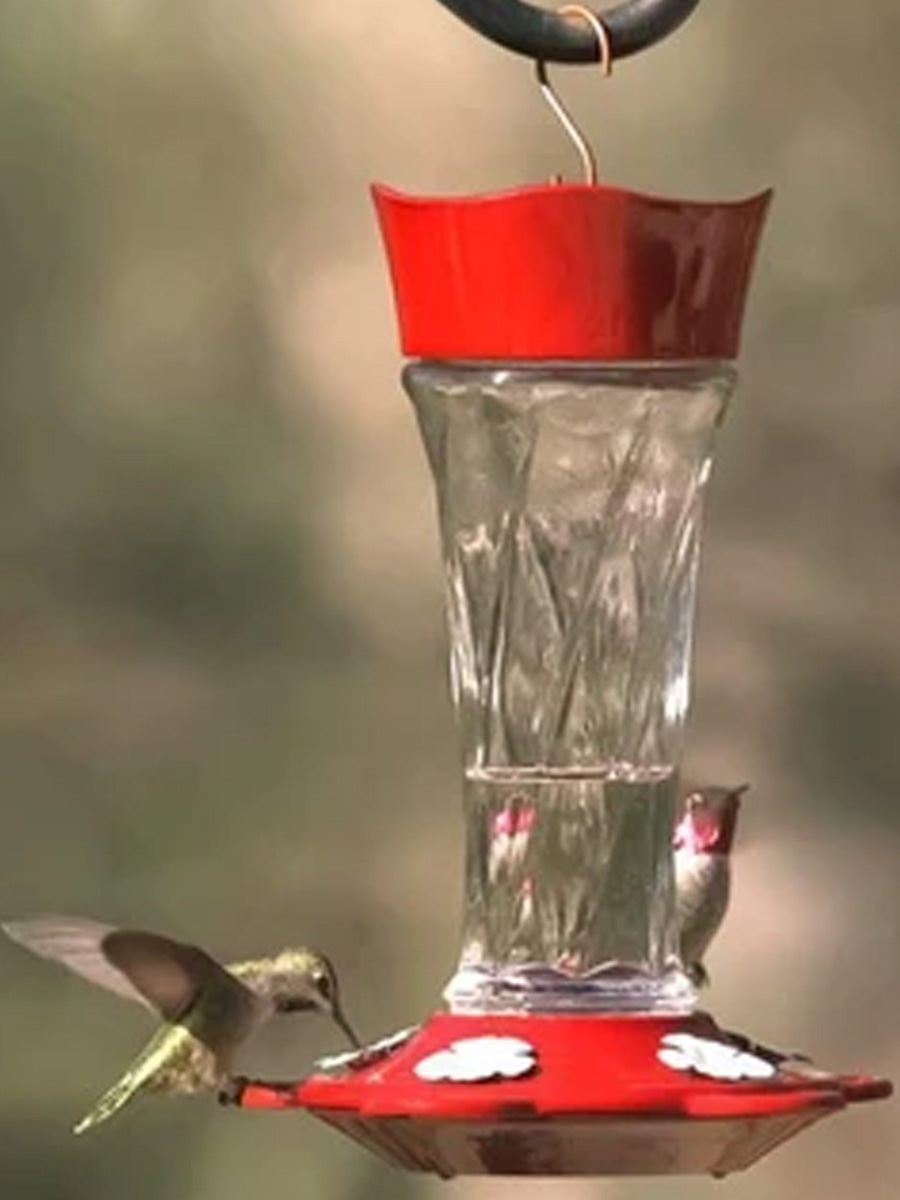 More Birds® Twist Hummingbird Feeder 11oz