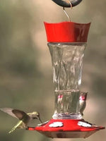 More Birds® Twist Hummingbird Feeder 11oz